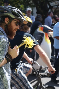 Flowers and penguins during Ecoweek 2015