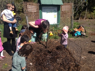 Inspecting the compost!